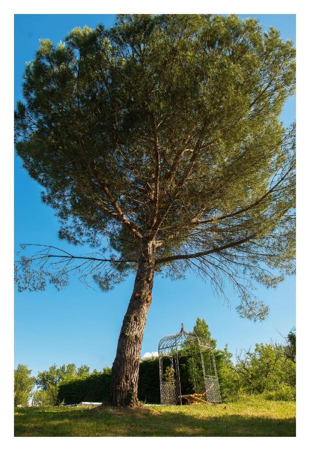 Chambre Soignee Et Accueillante A La Campagne - Ch Bleue L'Honor-de-Cos Εξωτερικό φωτογραφία